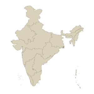 Ayurvédský čaj – tradice z Indie