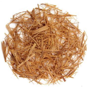 Kočičí dráp (Vilcacora)