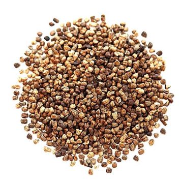 Kardamom semena, zrna